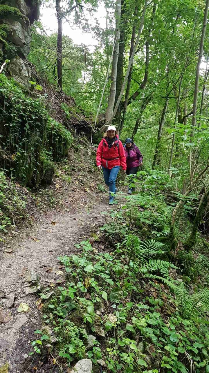 	14 3 Tage auf dem Schluchtensteig im Südschwarzwald